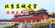 啊鸡巴好大插进去骚逼好多水精液视频中国北京-东城古宫旅游风景区